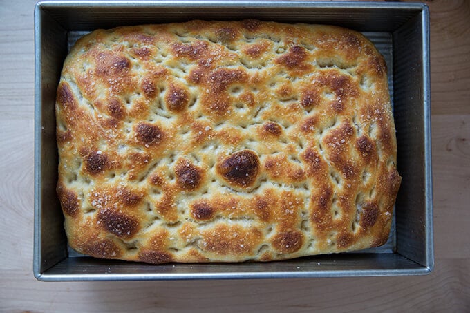 sourdough focaccia, just baked