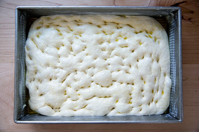 sourdough focaccia, ready for the oven