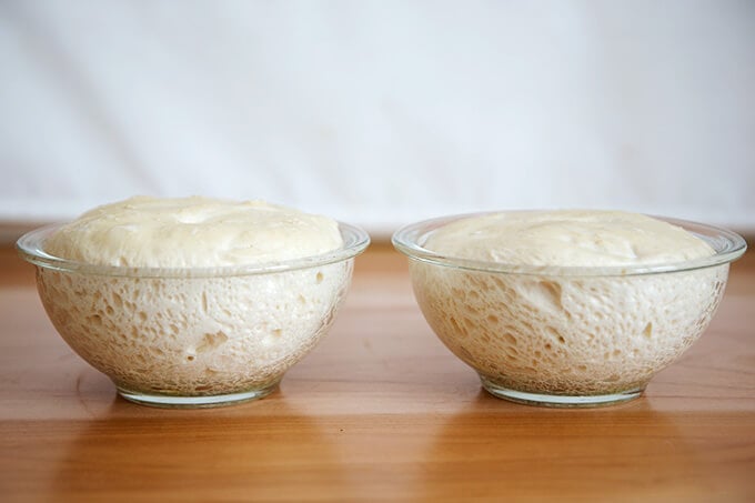 sourdough peasant bread, rising