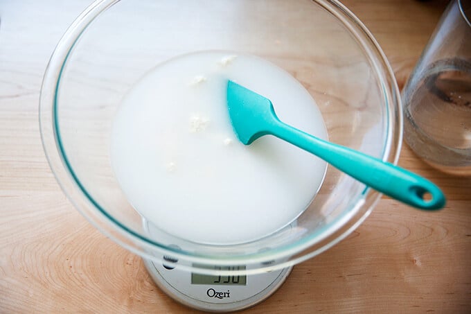 stirring the starter, salt, and water together