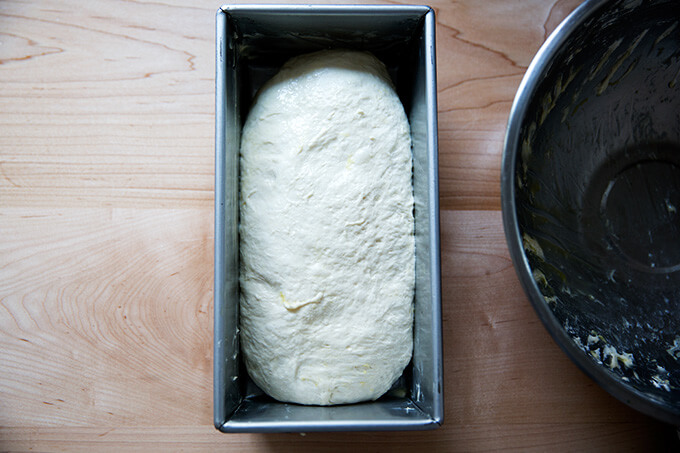 Sourdough sandwich bread dough, transferred to loaf pan, ready to make second rise.