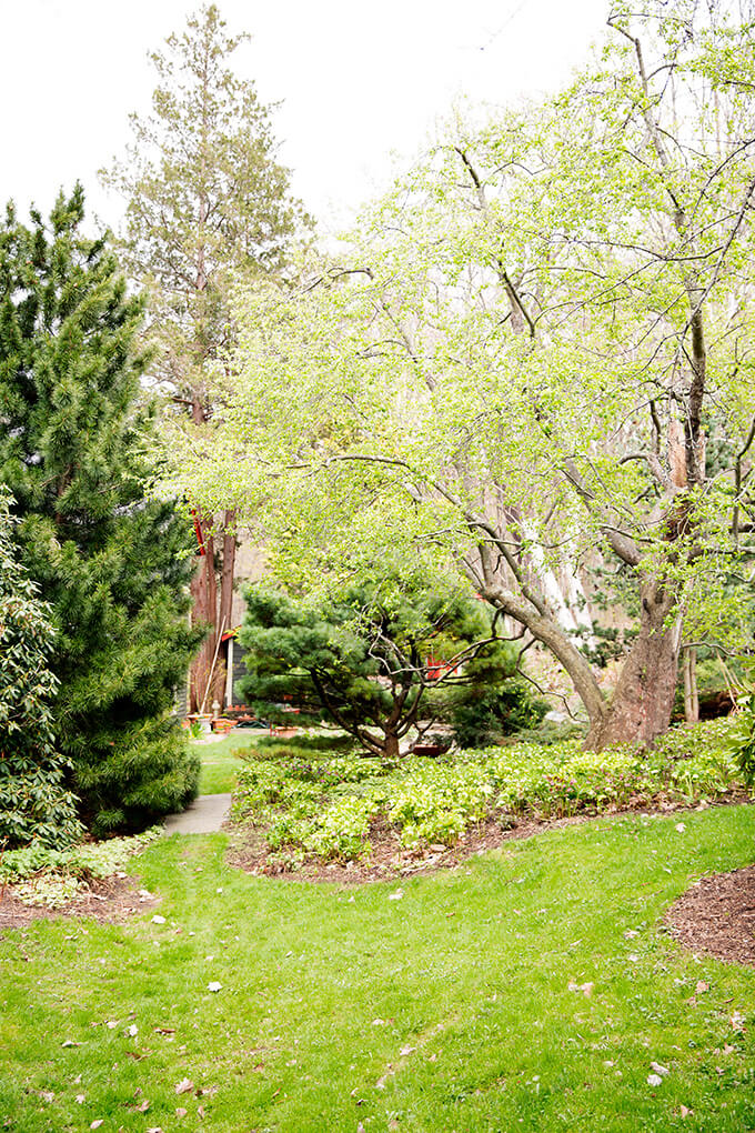 Margaret Roach's garden