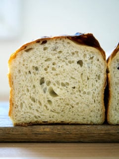 Crumb shot of sourdough sandwich (or toasting) bread.