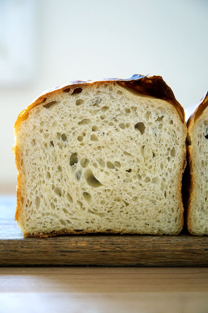 Crumb shot of sourdough sandwich (or toasting) bread.