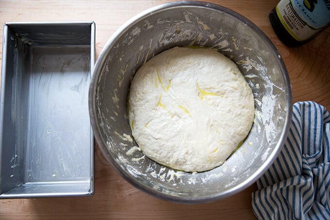 Sourdough sandwich bread dough, punched down, ready to be transferred to loaf pan.