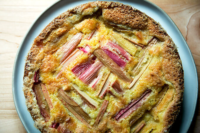 Rhubarb custard cake, cooled.