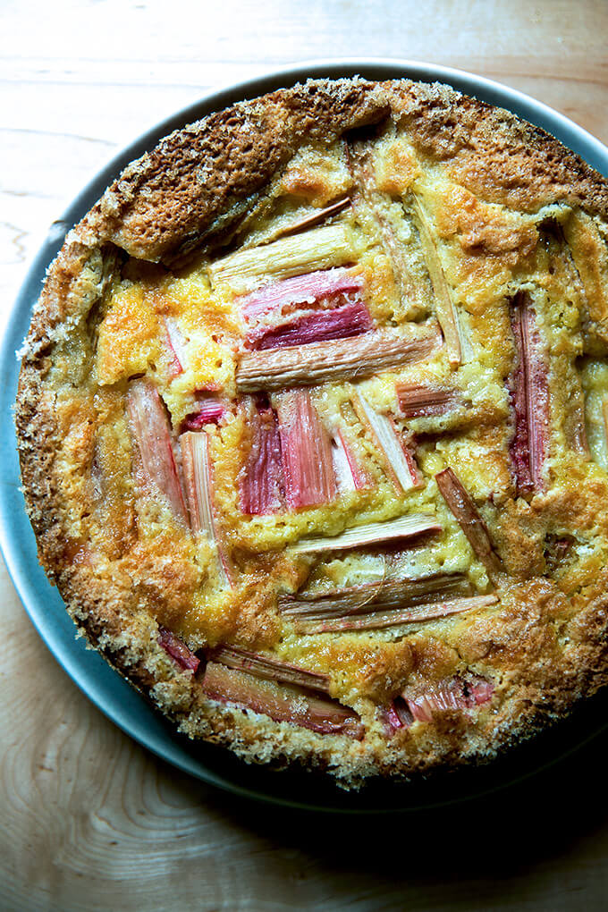 rhubarb custard cake cooled and ready to eat.