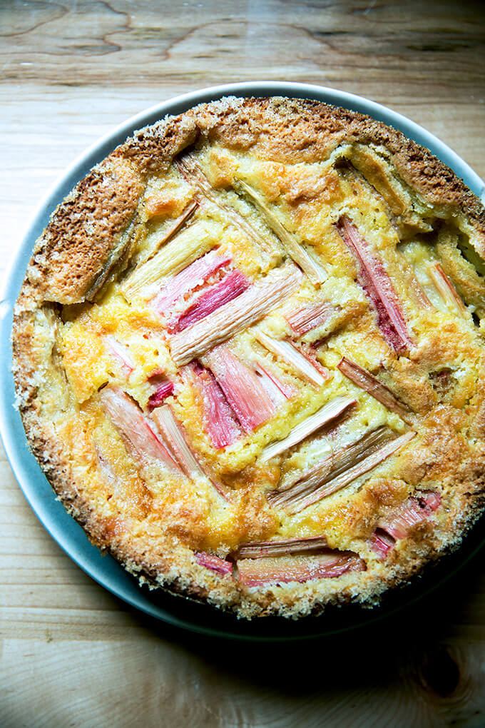 Rhubarb custard cake, ready to be served. 