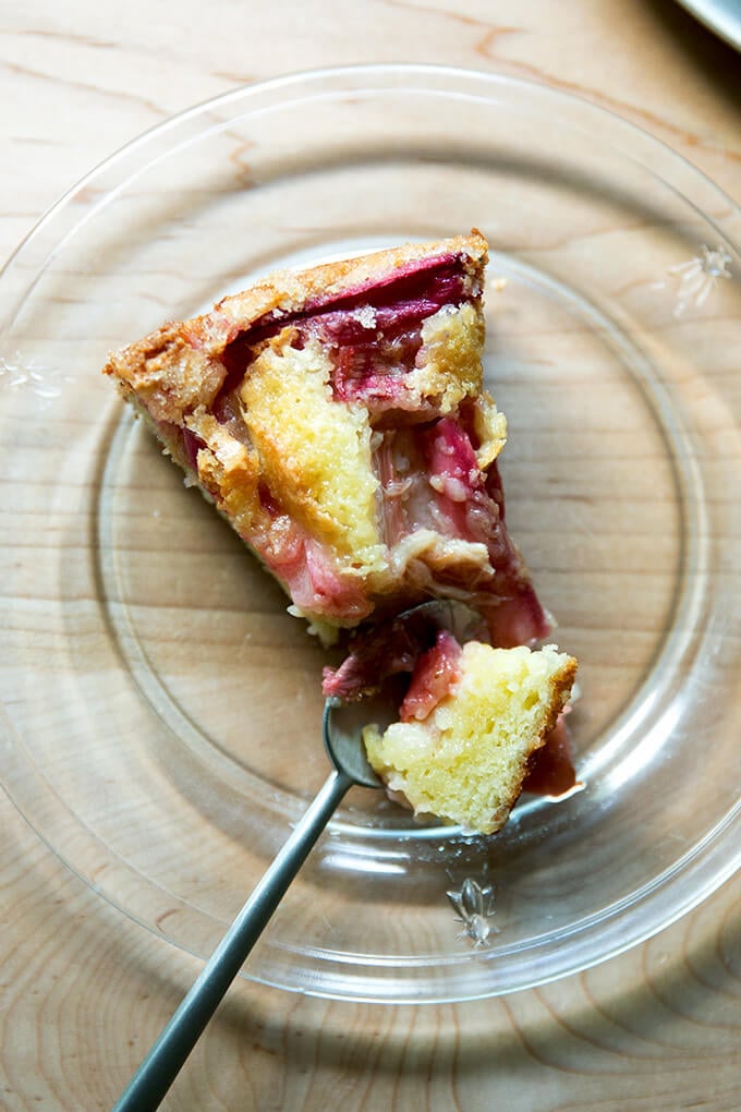 A slice of rhubarb custard cake.