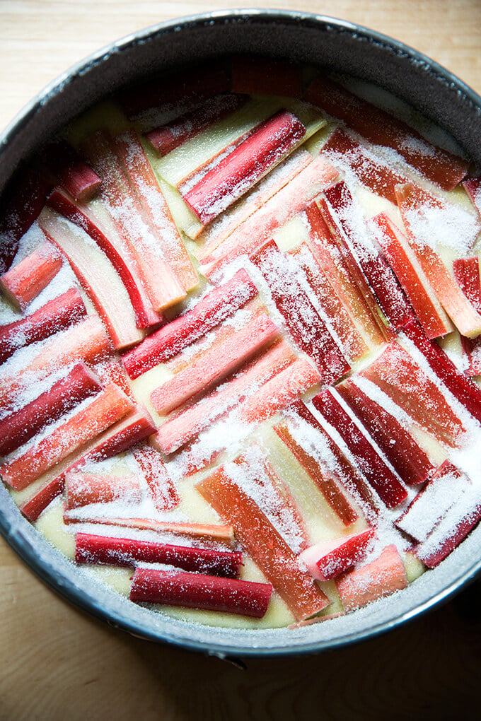 Springform pan topped with batter, rhubarb and sugar.