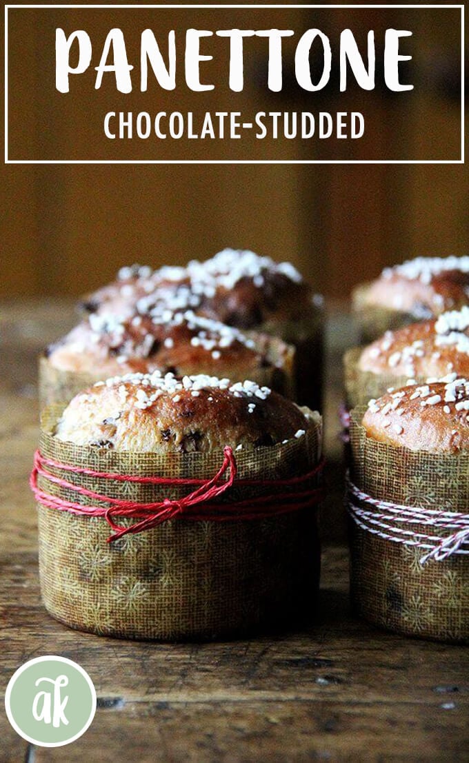 Chocolate-studded Panettone Recipe | Alexandra’s Kitchen