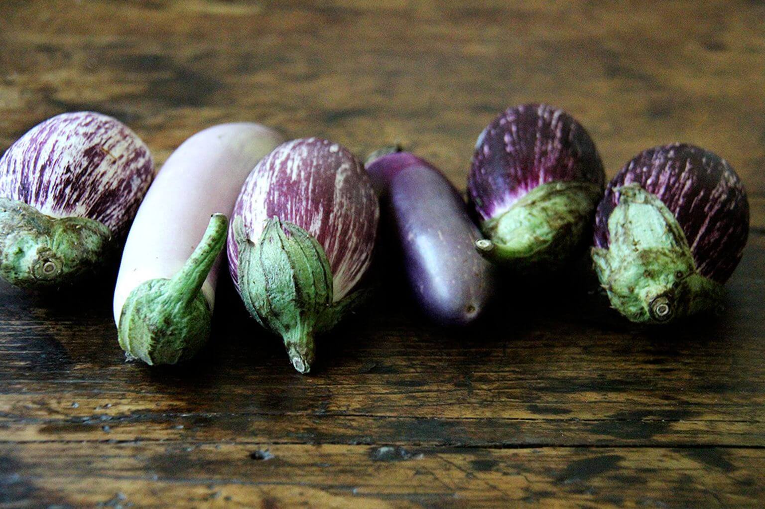 eggplant