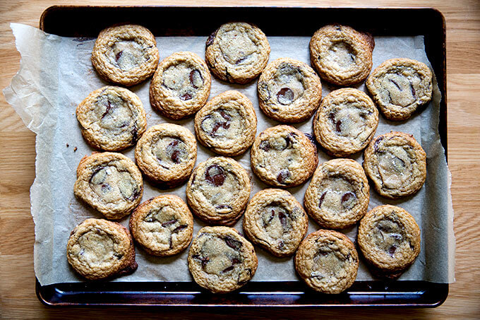 A sheet pan of freshly baked gluten-free chocolate chip cookies.