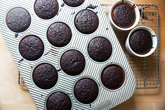 On overhead shot of just-baked chocolate cupcakes. 