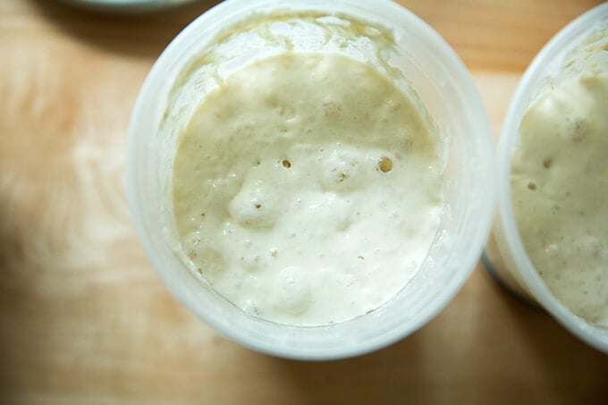 An overhead shot of a bubbling, active sourdough starter.