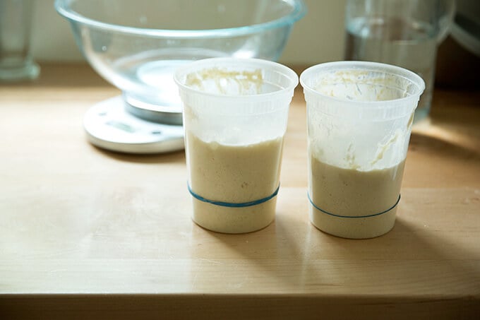 Dos recipientes de un cuarto de galón llenos de masa madre que hayan doblado su volumen.