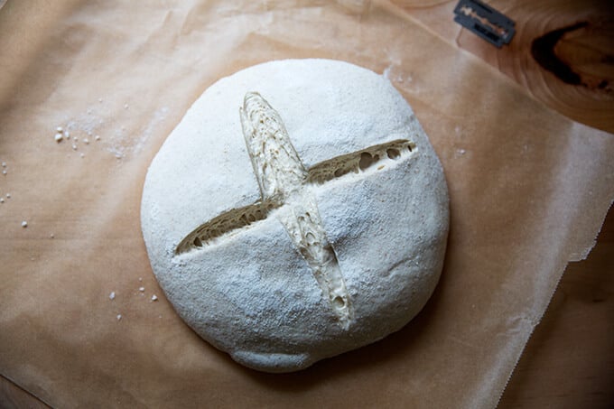 A scored sourdough boule on a sheet of parchment paper.