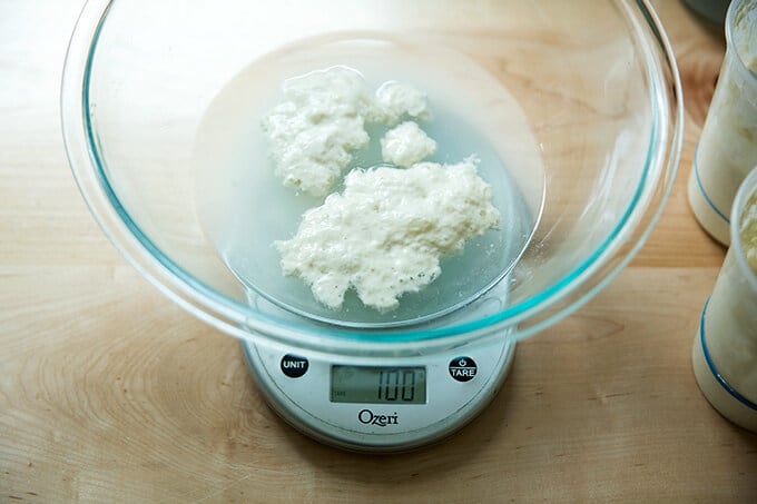 A glass bowl on a scale filled with water and a sourdough starter.