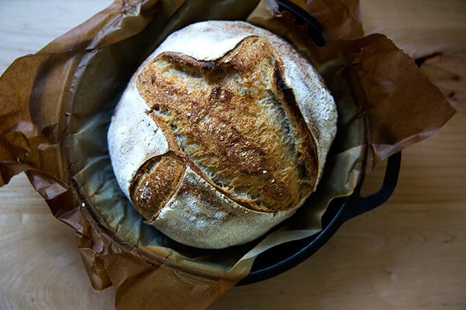 Just-baked high hydration sourdough bread.