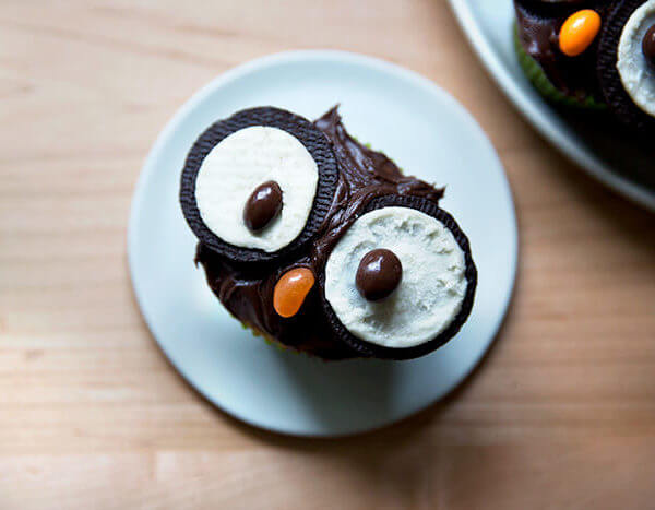 A single owl cupcake.