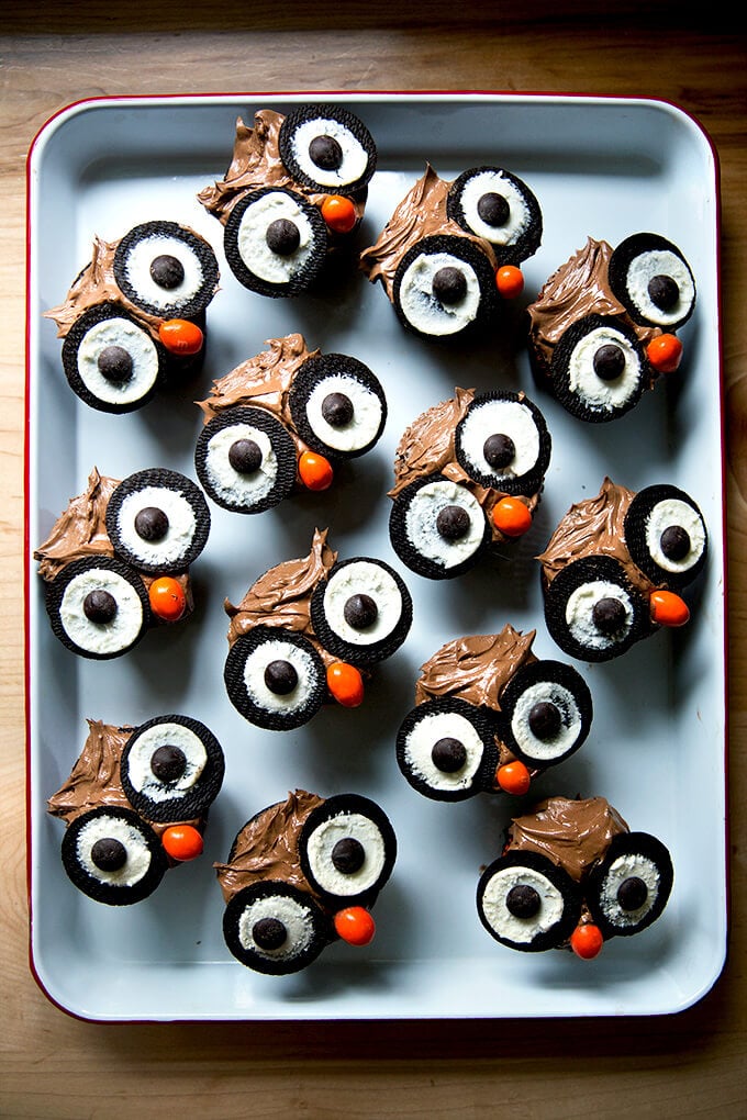 A tray of cupcakes decorated as owls.