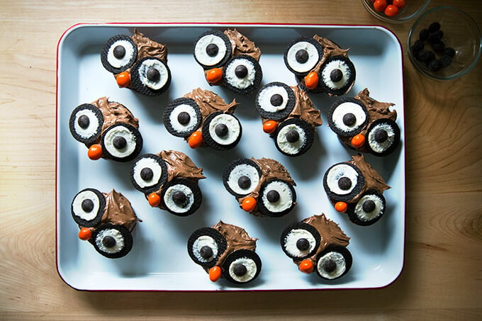 A tray of cupcakes decorated as owls.