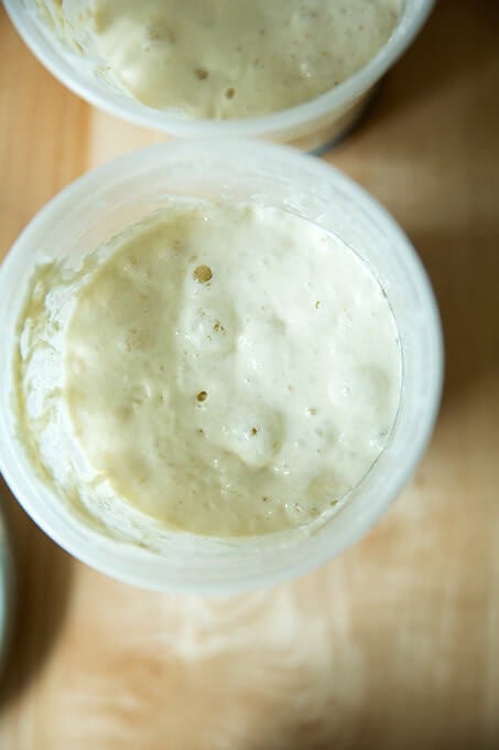 An overhead shot of a bubbly sourdough starter.