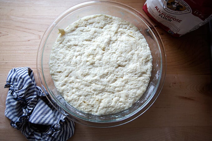The dough for buttermilk pull-apart rolls risen in a bowl. 