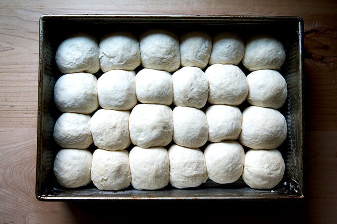 An overhead shot of formed and risen pull-apart rolls in a 9x13-inch pan.