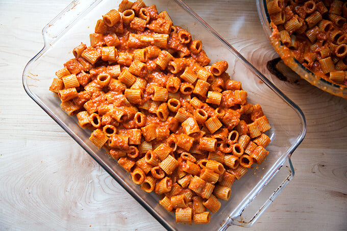 A 9x13-inch pan filled with one layer of penne tossed with vodka sauce.