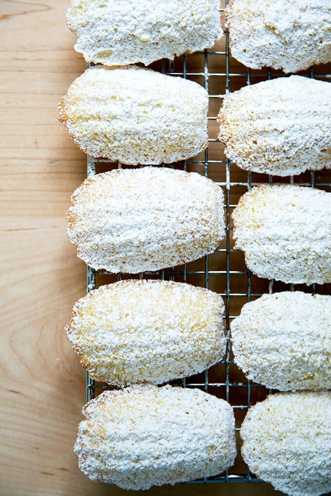 Lemon madeleines dusted in powdered sugar on a cooling rack.