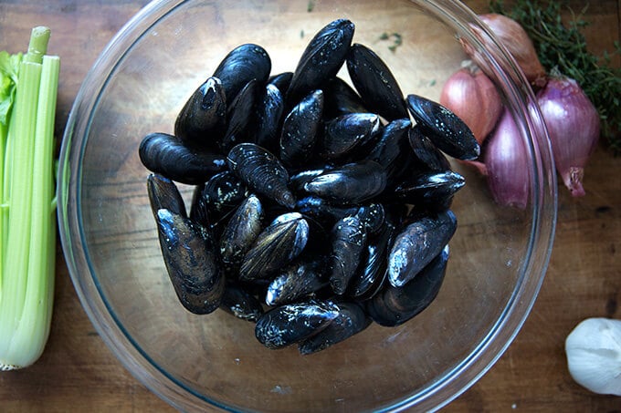 A bowl of un-steamed mussels in a bowl.