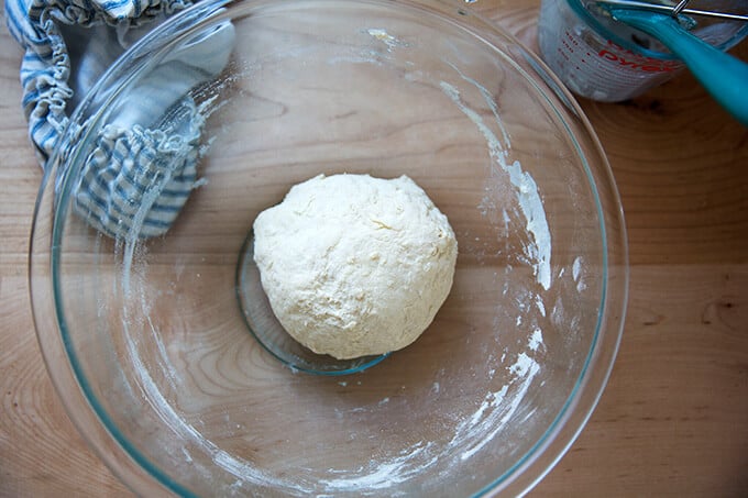 A ball of naan dough all mixed up.