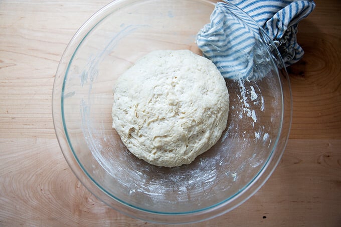 A bowl of naan dough, risen.