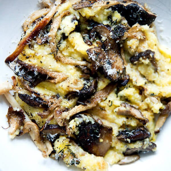 An up close shot of a bowl of roasted mushroom polenta bake.