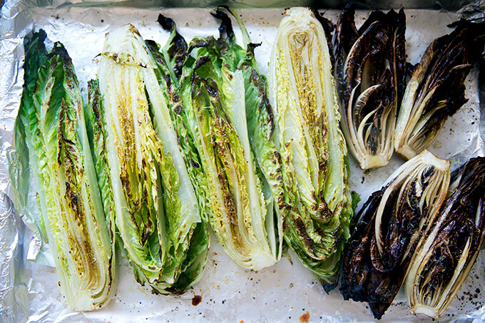 A sheet pan of broiled Romaine and Treviso.