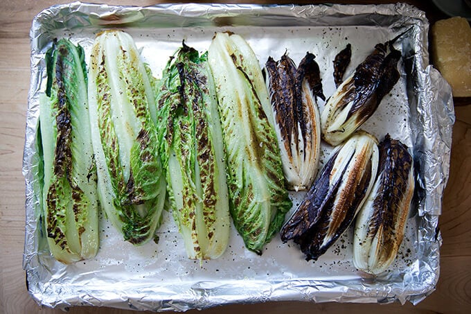 Broiled Treviso and Romaine on a sheet pan.