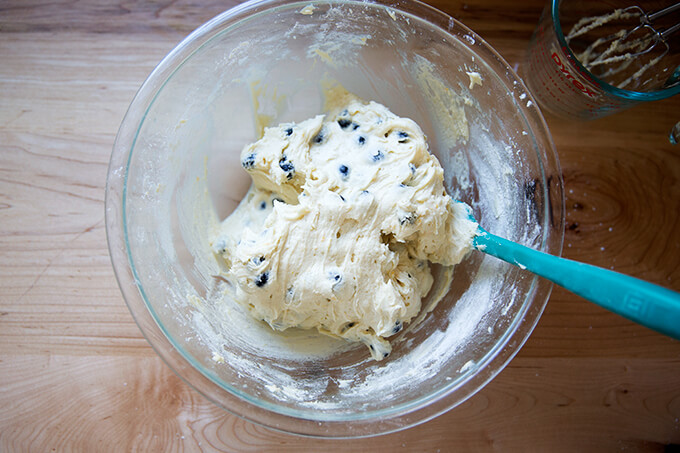 A bowl of lemon-blueberry muffin batter all mixed together.