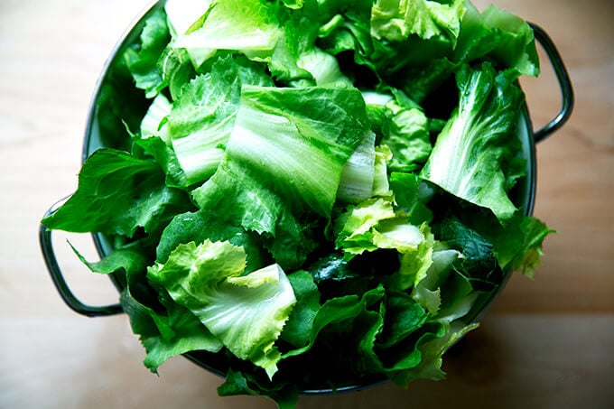 A colander filled with chopped escarole.