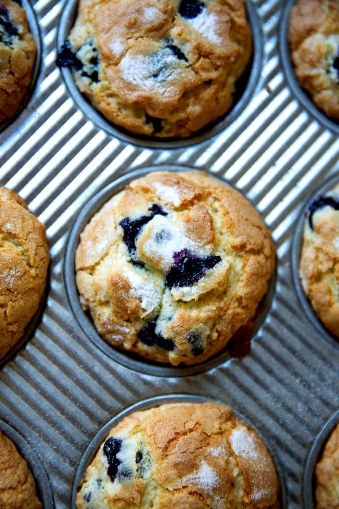 An overhead shot of a blueberry muffin in a muffin tin.