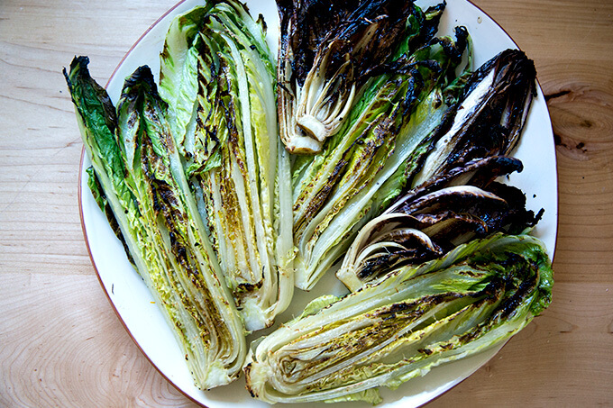 A platter of freshly "grilled" Romaine and Treviso.