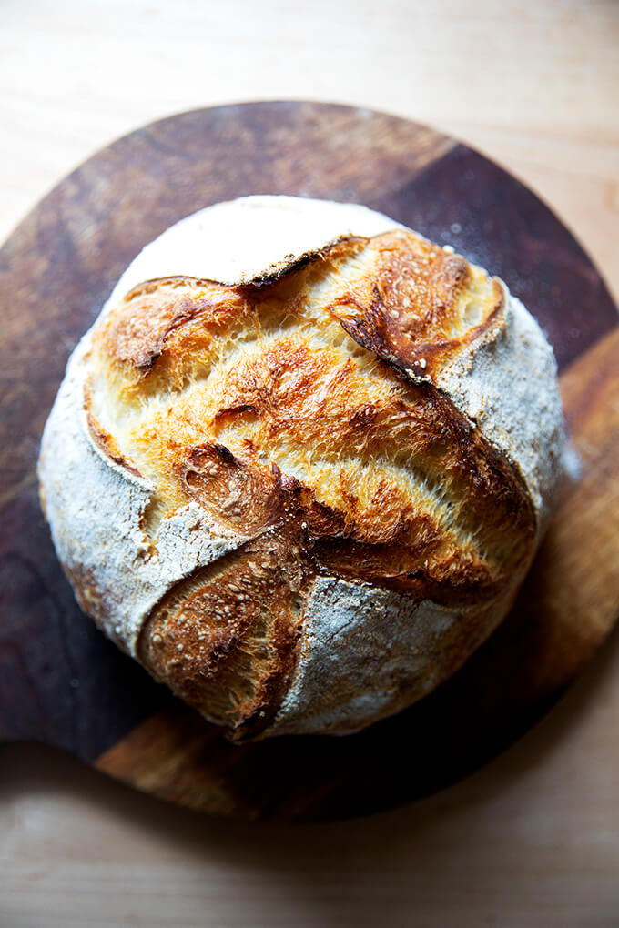 Sourdough boule freshly baked.