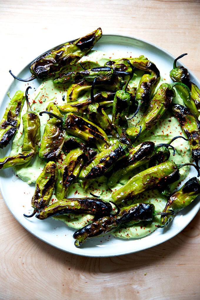 A platter of broiled shishito peppers with avocado cream.