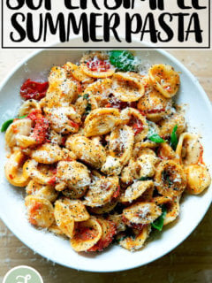 A bowl of pasta tossed with cherry tomato sauce, pine nuts, basil and mozzarella.