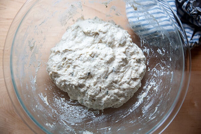 Just-mixed thyme dinner roll dough in a bowl.