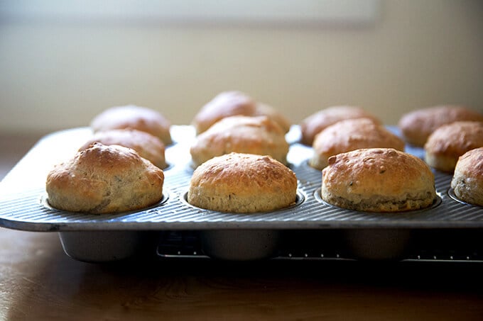Just-baked thyme dinner rolls in a muffin tin.