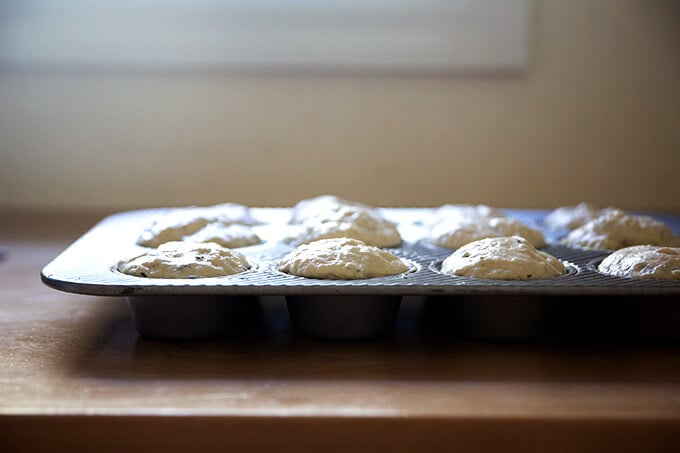 A muffin tin filled with thyme dinner roll dough ready for the oven.