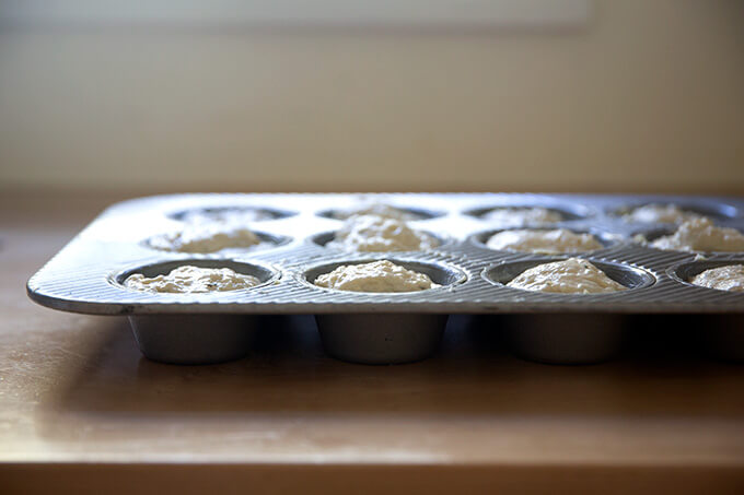 A muffin tin filled with thyme dinner roll dough, ready to make its second rise.