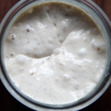 How to Feed, Maintain, and Store a Sourdough Starter-image