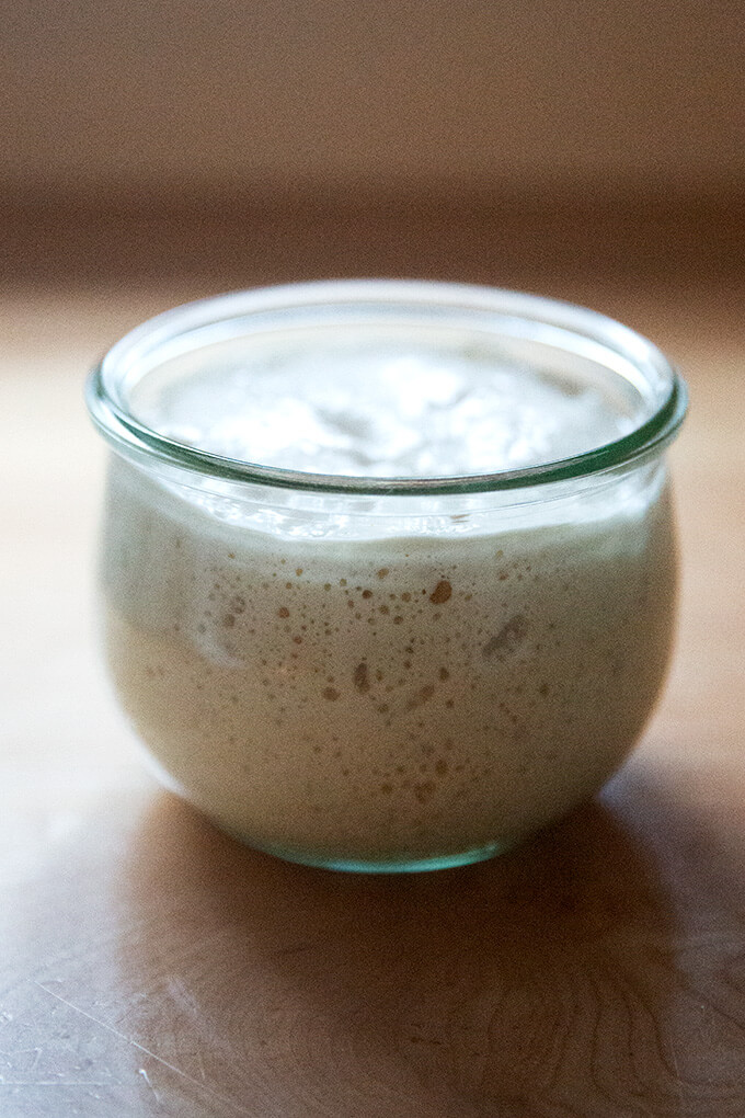 A jar of risen sourdough starter.